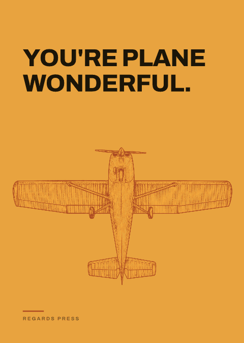 You're plane wonderful.